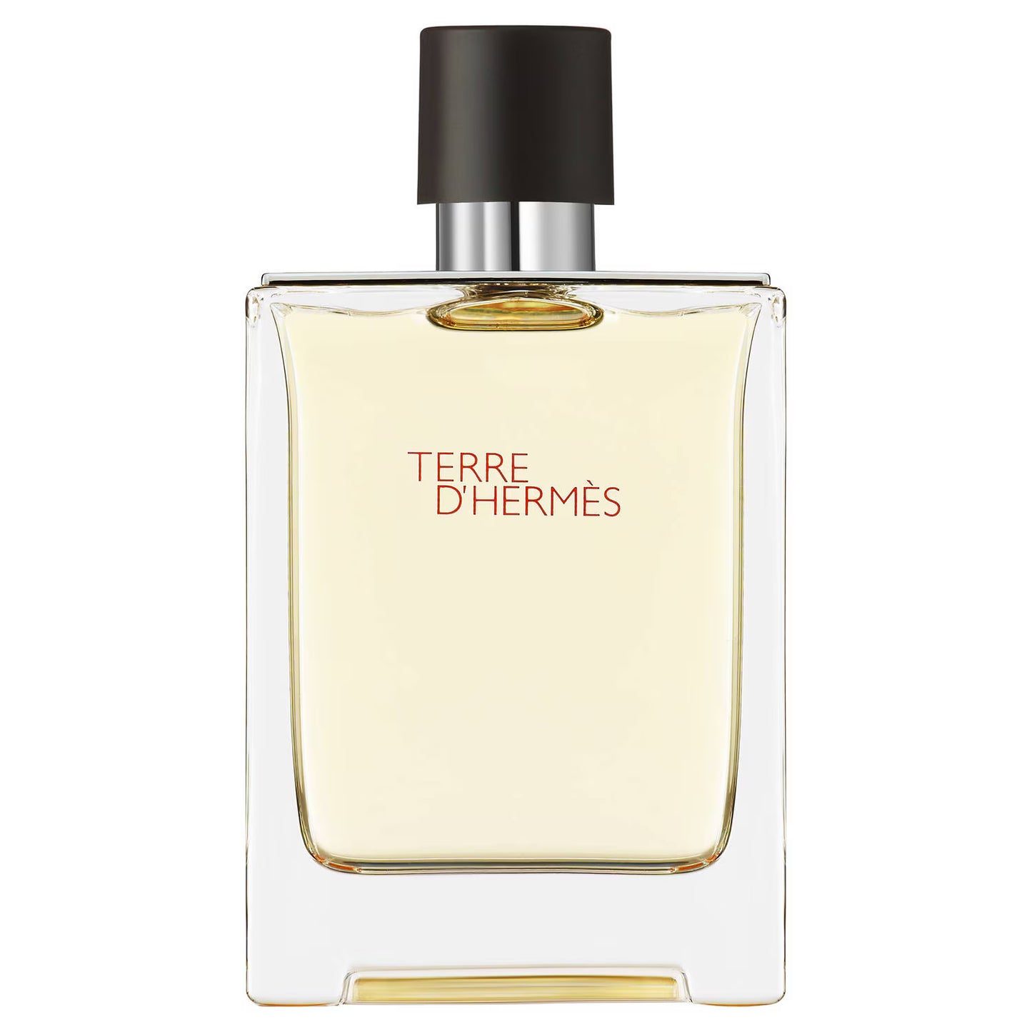 Terre d'Hermès - Eau de Toilette - 100ml